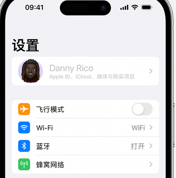 湘乡appleID维修服务iPhone设置中Apple ID显示为灰色无法使用 