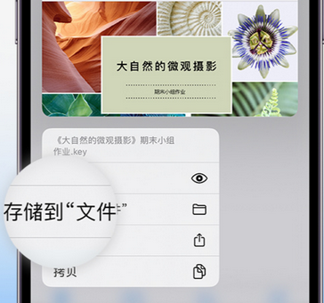 湘乡apple维修中心分享iPhone文件应用中存储和找到下载文件