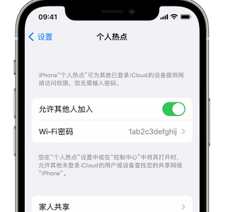 湘乡apple服务站点分享iPhone上个人热点丢失了怎么办 