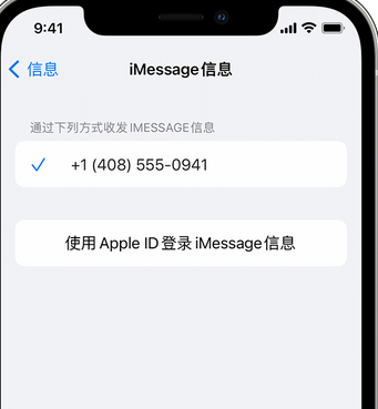 湘乡apple维修iPhone上无法正常发送iMessage信息 