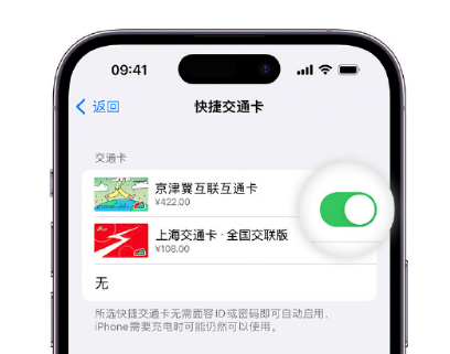 湘乡apple维修点分享iPhone上更换Apple Pay快捷交通卡手绘卡面 