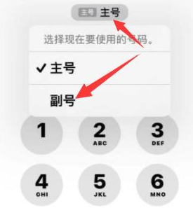 湘乡苹果14维修店分享iPhone 14 Pro Max使用副卡打电话的方法 