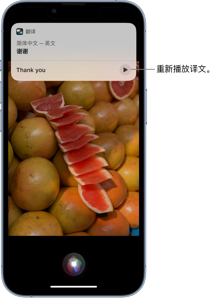 湘乡苹果14维修分享 iPhone 14 机型中使用 Siri：了解 Siri 能帮你做什么 