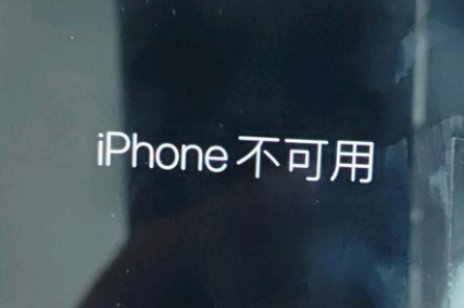 湘乡苹果服务网点分享锁屏界面显示“iPhone 不可用”如何解决 