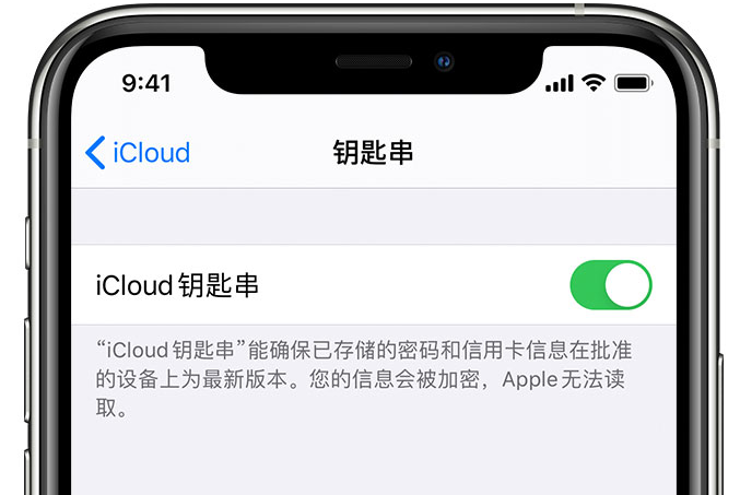 湘乡苹果手机维修分享在 iPhone 上开启 iCloud 钥匙串之后会储存哪些信息 