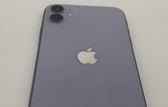 湘乡苹果11系统维修分享iPhone11手机系统崩溃无法开机如何解决 